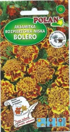 aksamitka-rozpierzchla-niska-bolero-1-g-polan