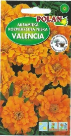 aksamitka-pelna-valencia-1-g-polan