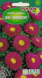 aster-polpelny-iskra-amarantowy-1-g-polan