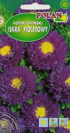 aster-polpelny-iskra-fioletowy-1-g-polan