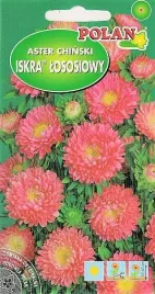 aster-polpelny-iskra-lososiowy-1-g-polan