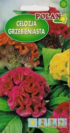 celozja-grzebieniasta-niska-mieszanka-0-2-g-polan