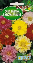 dalia-karlowa-pelna-mieszanka-2-g-polan
