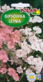 gipsowka-letnia-mieszana-2-g-polan