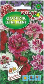 gozdzik-letni-mieszany-1-g-polan