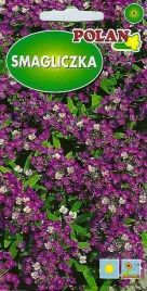 smagliczka-royal-carfert-1-g-polan