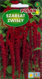 szarlat-zwisajacy-ciemnoczerwony-2-g-polan
