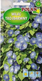 wilec-trojbarwny-heavenly-blue-niebieski-2-g-polan