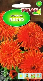 nagietek-radio-pomaranczowy-3-g-polan