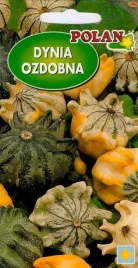 dynia-ozdobna-crown-of-thorns-5-g-polan