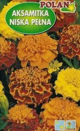 aksamitka-niska-pelna-mieszanka-1-g-polan