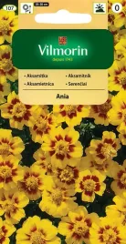 aksamitka-rozpierzchla-pojedyncza-ania-1-g-vilmorin