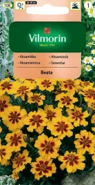 aksamitka-rozpierzchla-pojedyncza-beata-1-g-vilmorin