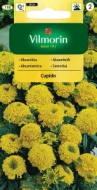 aksamitka-niska-pelna-cupido-zolta-05-g-vilmorin