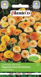 nagietek-lekarski-karlowy-mieszany-2-g-plantico