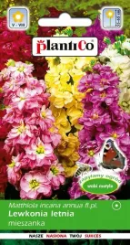 lewkonia-letnia-mix-0-5-g-plantico