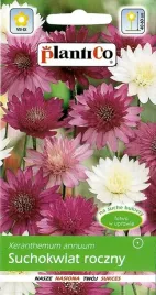 suchokwiat-mix-1-g-plantico