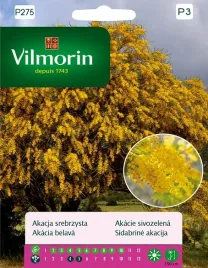 akacja-srebrzysta-20z-vilmorin