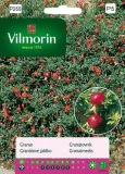 granat-niski-30z-vilmorin