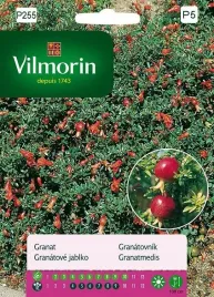 granat-niski-30z-vilmorin