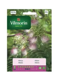 albicja-2-g-vilmorin-drzewko-doniczkowe