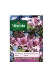 drzewo-storczykowe-6-g-vilmorin