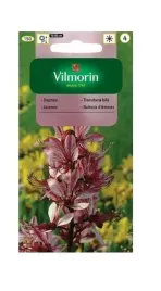 dyptam-krzew-mojzesza-02-g-vilmorin