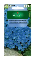 dzwonek-karpacki-05-g-vilmorin
