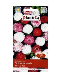 stokrotka-trwala-mix-01-g-plantico