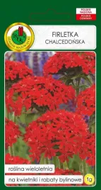 firletka-chalcedonska-1-g-pnos