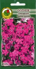 gozdzik-upstrzony-czerwony-0-5-g-pnos