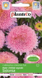 aster-chinski-typ-sidonia-rozowy-1-g-plantico
