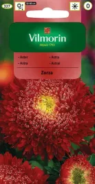 aster-chinski-ksiazecy-zorza-purpuroworozowy-05-g-vilmorin