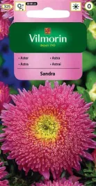 aster-chinski-ksiazecy-sandra-rozowy-05-g-vilmorin