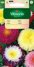 aster-pomponowy-sredniowysoki-mix-05-g-vilmorin