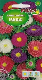 aster-polpelny-iskra-zestaw-kolorow-1-g-polan