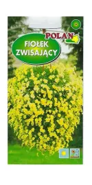 fiolek-zwisajacy-zolty-03-g-polan