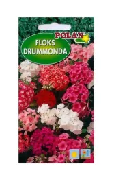 floks-drummondii-mieszanka-1-g-polan