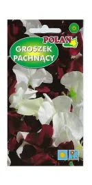 groszek-pachnacy-night-and-day-2-g-polan