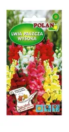 lwia-paszcza-wysoka-mieszana-1-g-polan