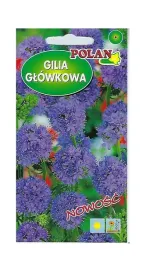 gilia-glowkowa-fioletowo-niebieska-05-g-polan
