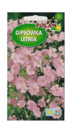 gipsowka-wytworna-rozowa-2-g-polan