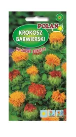 krokosz-barwierski-1-g-polan