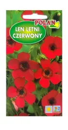 len-letni-czerwony-1-g-polan