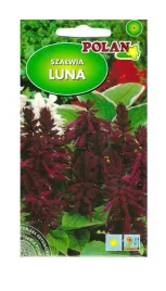 szalwia-blyszczaca-luna-05-g-polan