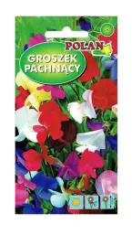 groszek-pachnacy-zestaw-kolorow-3-g-polan