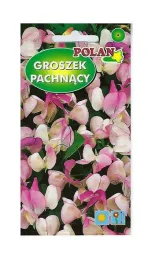 groszek-pachnacy-pansy-lavender-flash-2-g-polan