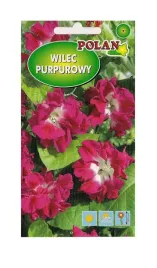 wilec-purpurowy-reffles-2-g-polan