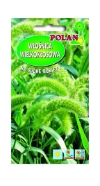 wlosnica-wieloklosowa-trawy-ozdobne-2-g-polan