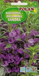 niecierpek-balsamina-sandra-2-g-polan